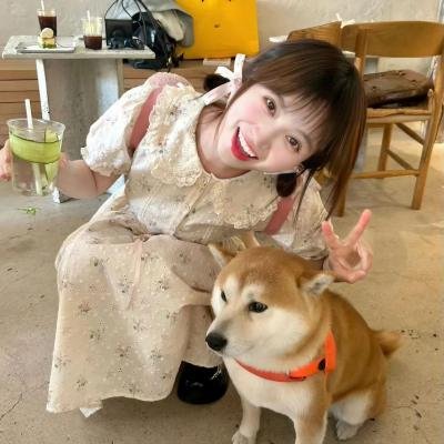 追梦小海豚